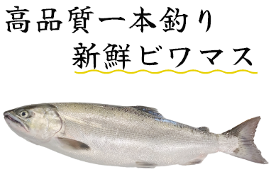 一本釣りでキズつけない。