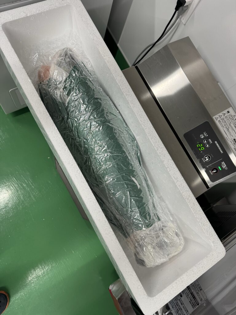 記録級ビワマスの発送